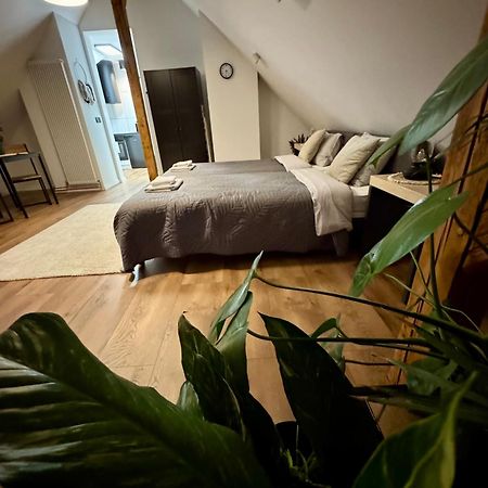 Apartamenty Astor - Ksiezycowy Szczawno-Zdroj Ngoại thất bức ảnh
